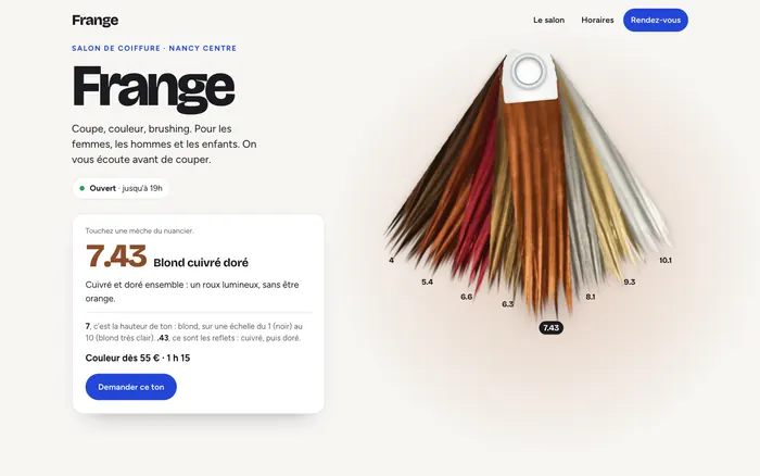 Le nuancier du salon, huit mèches de couleur en éventail, et la fiche de la teinte 7.43, vu sur ordinateur